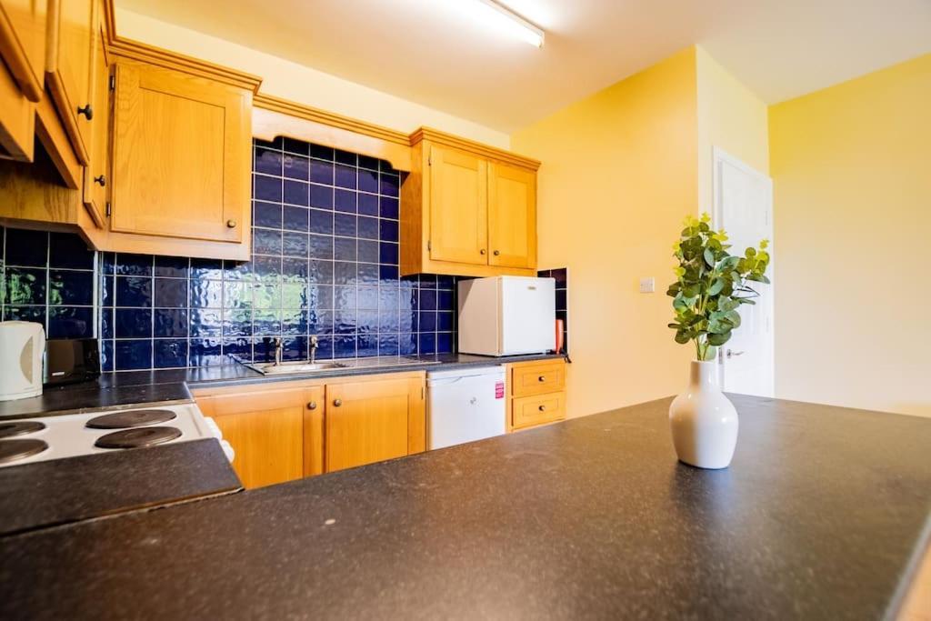 72 - Large Three Bed Apartment With Parking Galway Exteriér fotografie